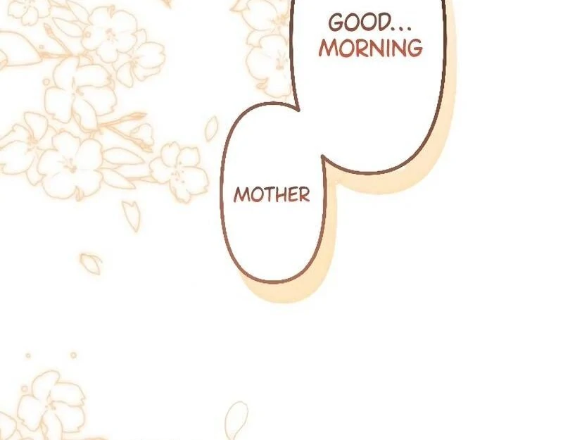 71590057 800 625 21890